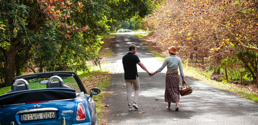 Car Hire